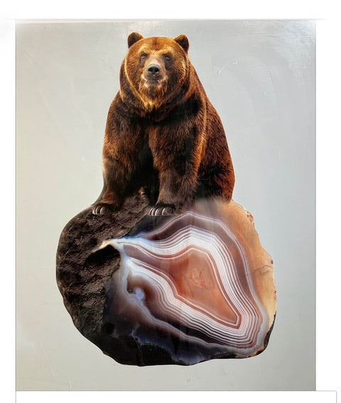 Anke Schofield, Jasper