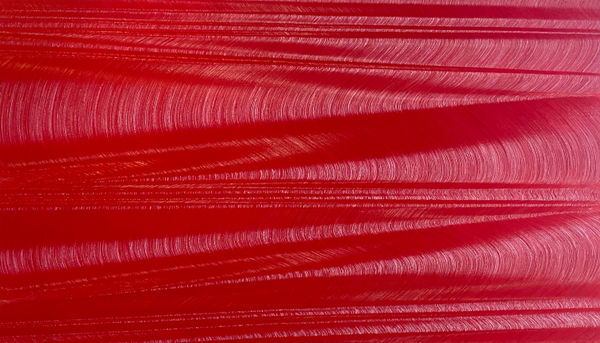 Hamilton Aguiar, Optical 21070