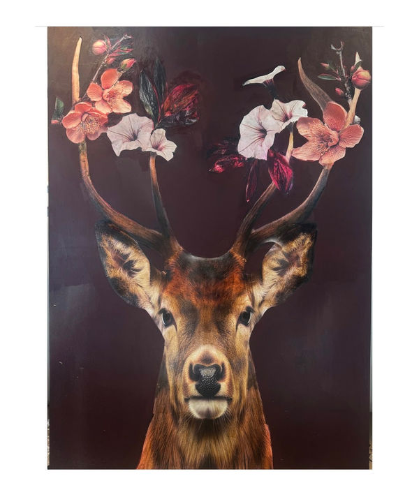 Anke Schofield, VELVET