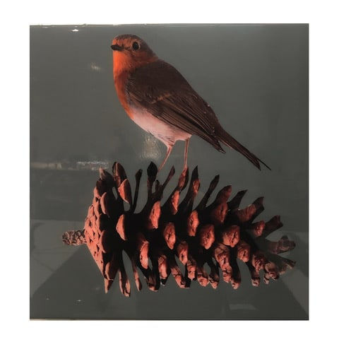 Anke Schofield, Pine Cone 3