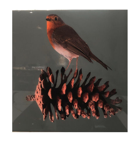 Anke Schofield, Pine Cone 3