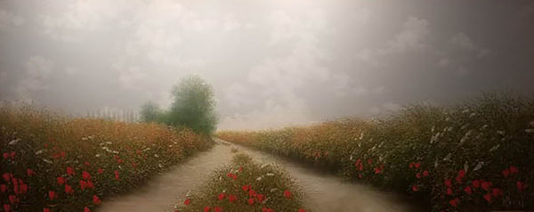 Patrice Marchal, Marchal Richesse Florale