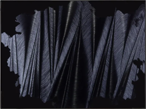 Hamilton Aguiar, Hybrid Optical 24118