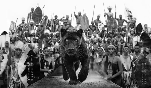 David Yarrow, I Am Black Panther