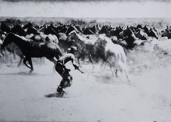 Russell Young, The Wild Wild West