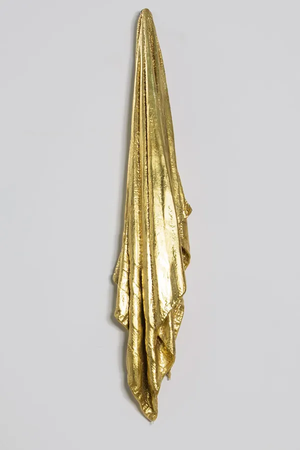 Hamilton Aguiar, 15081 Towel