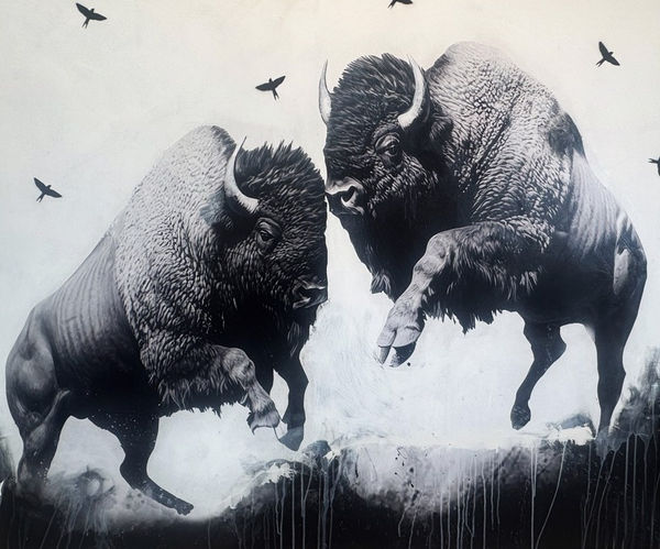 Anke Schofield, Buffalo stance