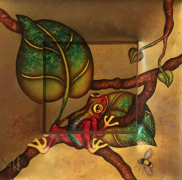 Luis Sottil, Gorgeous Red Frog