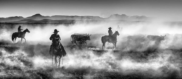 David Yarrow, Drovers