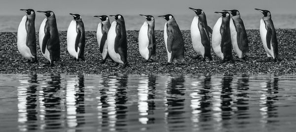 David Yarrow, Ocean's Eleven