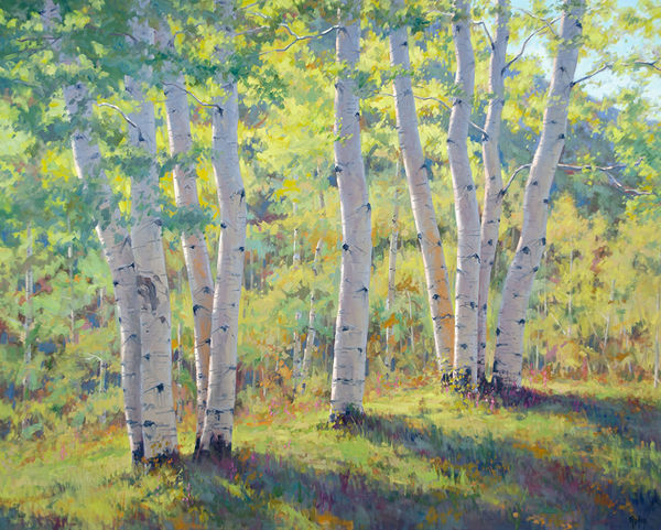 Bob Rohm, Summer Green