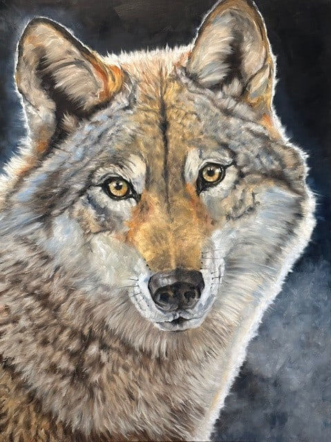 Doug Behm, Spellbound