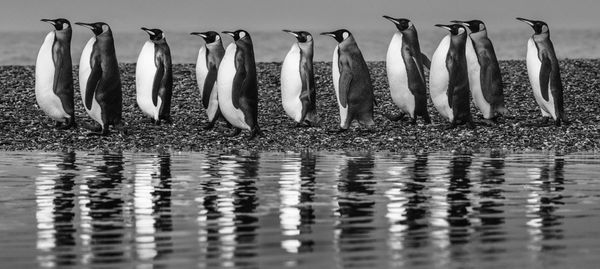 David Yarrow, Ocean's Eleven