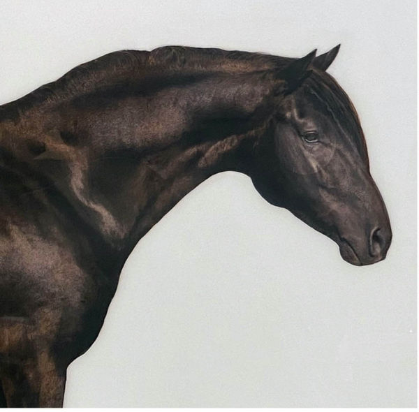 Anke Schofield, Horse 1
