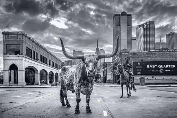 David Yarrow, A Dallas Cowboy