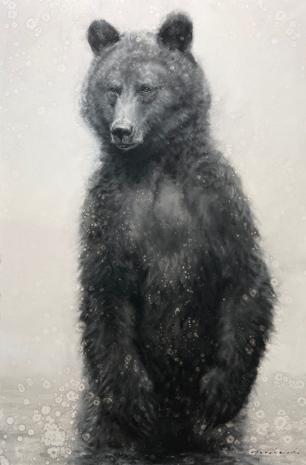 David Riley, Watchful Eye