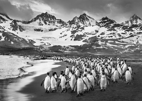 David Yarrow, The Breakfast Club