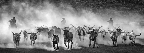 David Yarrow, Lonesome Dove