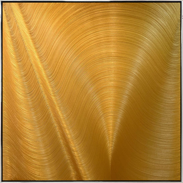 Hamilton Aguiar, Optical 22131