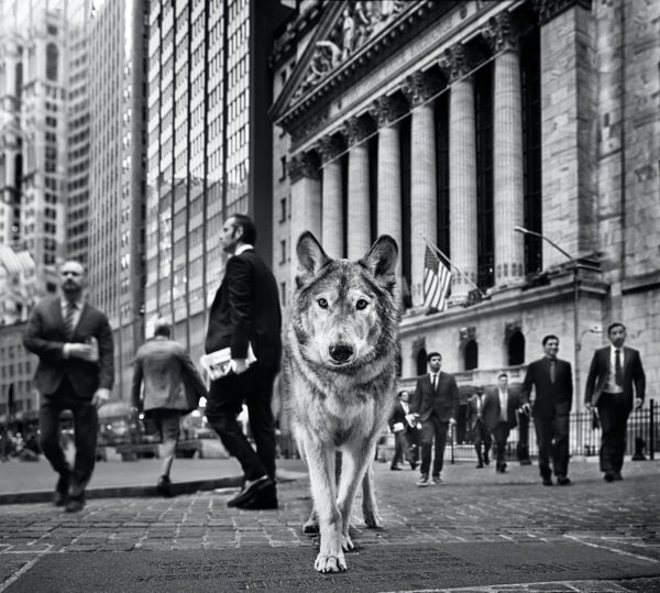 David Yarrow, Wall Street