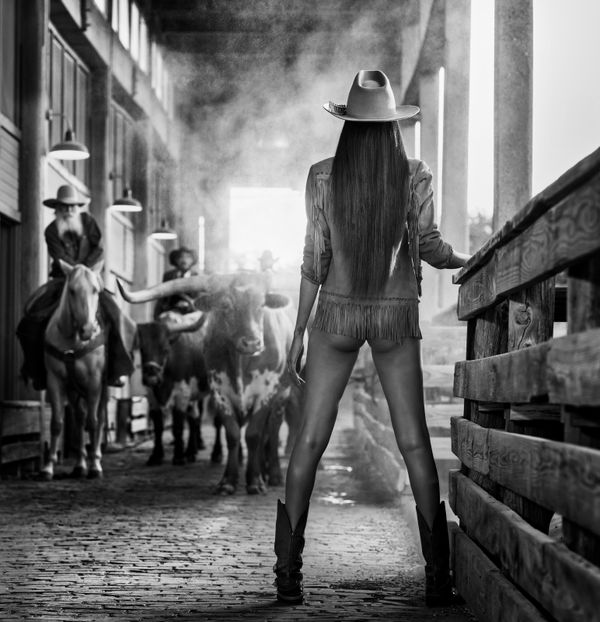 David Yarrow, The Cow Whisperer