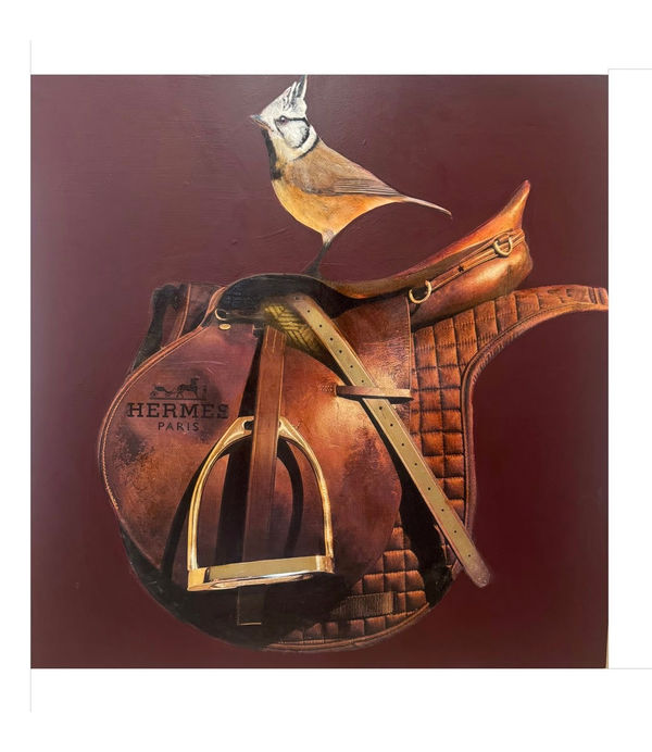 Anke Schofield, Saddle up