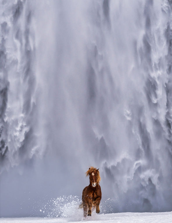 David Yarrow, The Big Chill