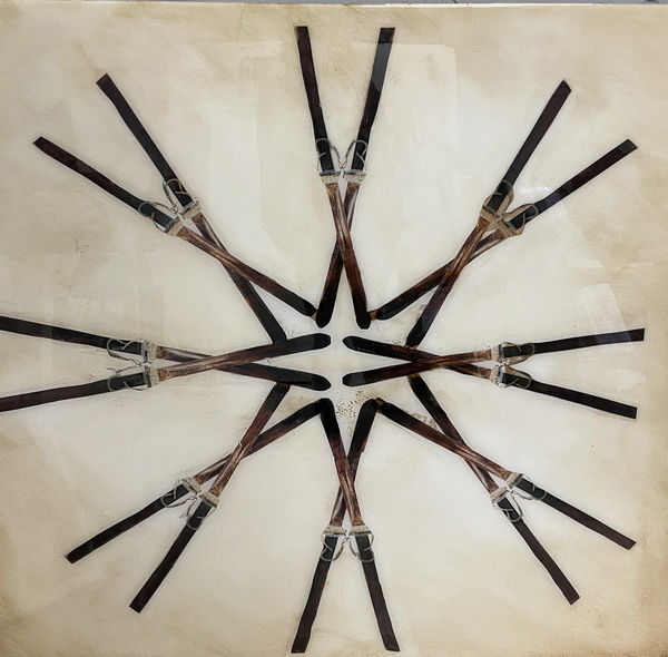 Anke Schofield, Ski I