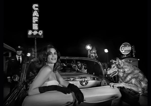 David Yarrow, The Daily News