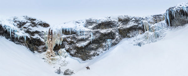 David Yarrow, The Lonesome Cowboy