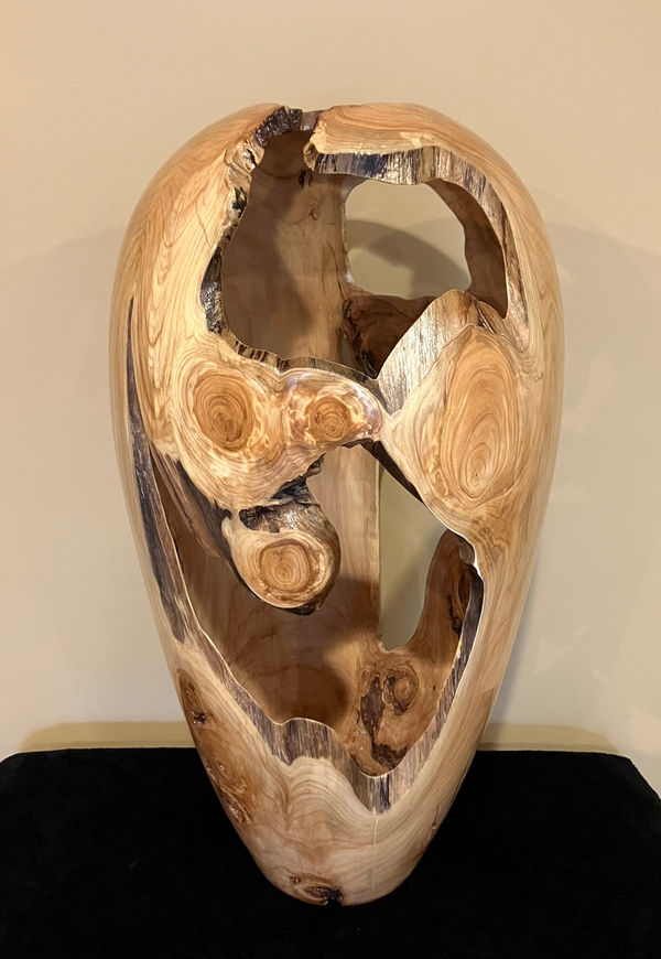 Randy Anderson, Leyland Cypress