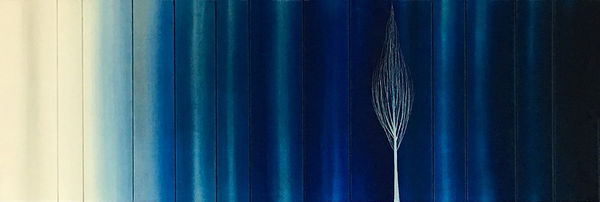 Hamilton Aguiar, 17069 Cores