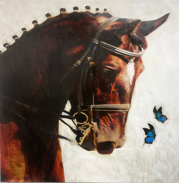 Anke Schofield, Regal Stance