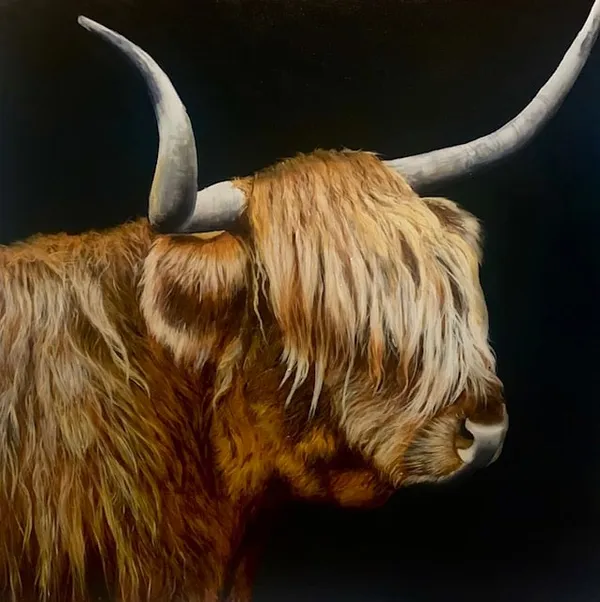 James Jensen, Scottish Highland on Black