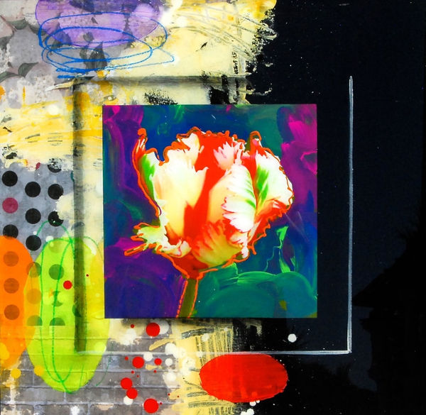 James Jensen, Tulip White & Black 10239