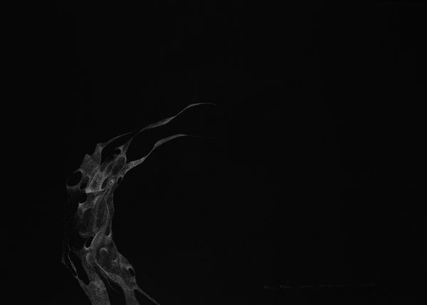 Alina Aldea, 000 000 0001_3, 2024