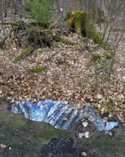 Sonia Khurana, this land मैं चमन में चाहे जहाँ रहूँ From: Lying down, ephemera, series VI Return/repose/reoccupy, 2022