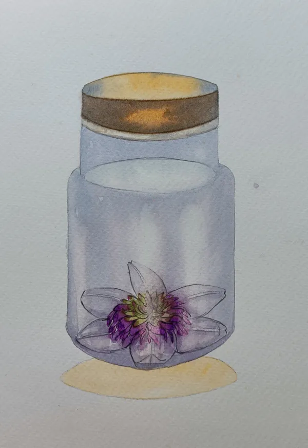 Manisha Agrawal, Vanishing Beauty 4, 2017-19