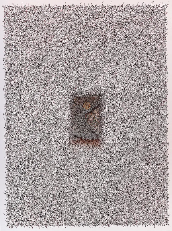 Ghulam Mohammad, جنبش (Junbish) Motion, 2020