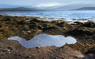 Sonia Khurana, Somnambulist मैं चमन में चाहे जहाँ रहूँ From: Lying down, ephemera, series VI Return/repose/reoccupy, 2022