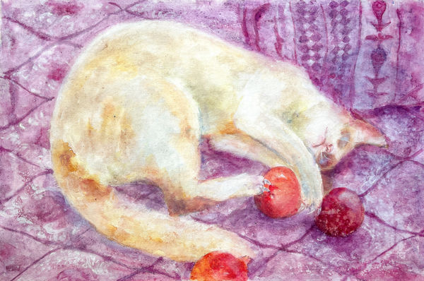 Pushpa Kumari The Cat and the Pomegranate, 2024 Acrylic paint, watercolour, gesso and fabric paint on canvas 61 x 91.4 cm 24 x 36 in