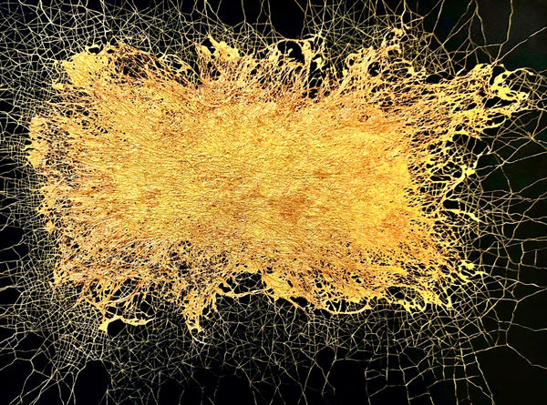 Dhara Mehrotra, Echo IX (14), 2024