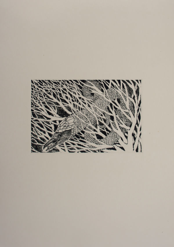 Madhu Das Exile in a Forest, 2021 Intaglio technique/Dry point on Fabriano Rosapina Paper 25 x 36 cm 9 7/8 x 14 1/8 in Edition of 10, 6/10 plus 2 AP