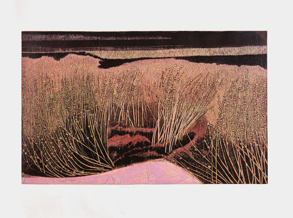 Soghra Khurasani Shadows Under my Sky - 5, 2022 Woodcut print on paper 116.8 x 152.4 cm 46 x 60 in Unique