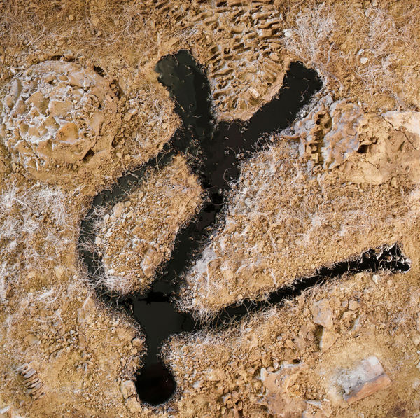 A photography by Vivan Sundaram titled Figure IV from the series Terraoptics