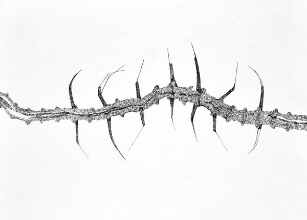 Vikrant Bhise, Spine of a Broken Man IV, 2022