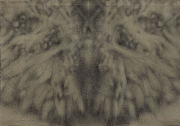 Bhimanshu Pandel Samajhani - Rohi Ki Chitar (8), 2021 Pencil on paper 20.3 x 27.9 cm 8 x 11 in