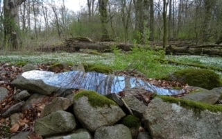 Sonia Khurana, someplace else 1 मैं चमन में चाहे जहाँ रहूँ From: Lying down, ephemera, series VI : Return/repose/reoccupy, 2022