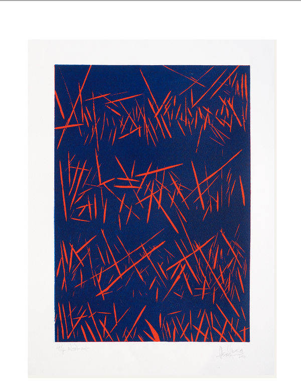 Aban Raza an uprising is brewing Serigraph 56 x 38 cm 22 x 15 in Edition 1 of 8