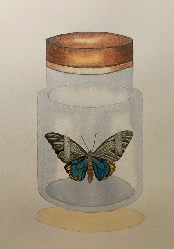 Manisha Agrawal, Vanishing Beauty 9, 2020